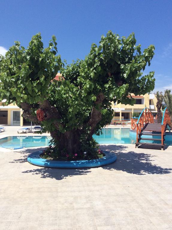 فاليراكي Angelos Beach Hotel المظهر الخارجي الصورة
